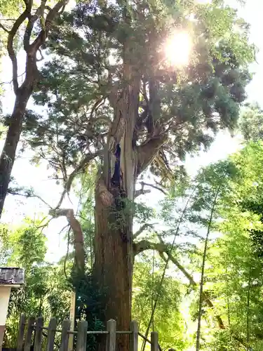 川辺八幡神社(福島県)