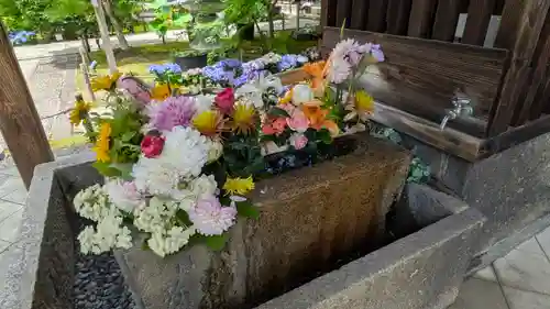 勝林寺(京都府)