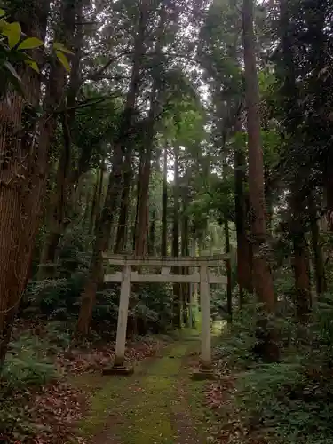 日吉神社の鳥居