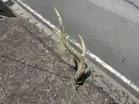 神社(名称不明)(千葉県)