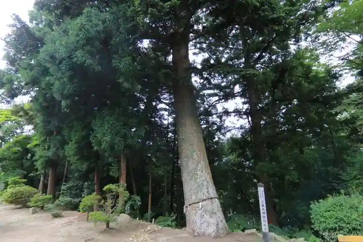 三春大神宮の自然