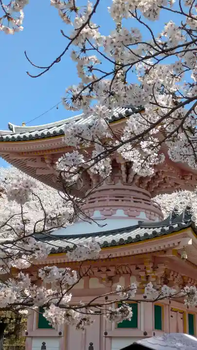 南法華寺(壷阪寺)(奈良県)
