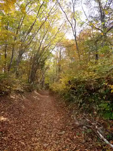 戸隠神社火之御子社(長野県)