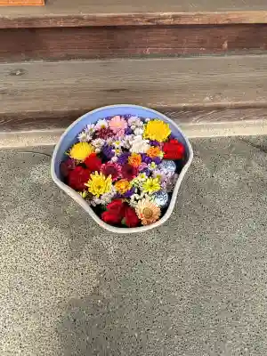 谷中西光寺の{uncategorized: "未分類", other: "その他", undefined: "問題あり", building: "その他建物", grave: "お墓", sacred_gate: "鳥居", guardian: "狛犬", statue: "像", buddha: "仏像", history: "歴史", nature: "自然", garden: "庭園", animal: "動物", pagoda: "塔", temizu: "手水舎", mountain_gate: "山門・神門", sanctuary: "本殿・本堂", subordinate: "末社・摂社", art: "芸術", scenery: "景色", jizo: "地蔵", ema: "絵馬", goshuin: "御朱印", omikuji: "おみくじ", items: "授与品その他", amulet: "お守り", goshuincho: "御朱印帳", eats: "食事", festival: "お祭り", votive_dance: "神楽", shichigosan: "七五三参", wedding: "結婚式", experience: "体験その他", initially: "初詣", around: "周辺", anti_infection: "感染症対策"}