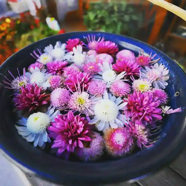 行田八幡神社の手水舎