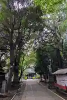 ときわ台天祖神社(東京都)