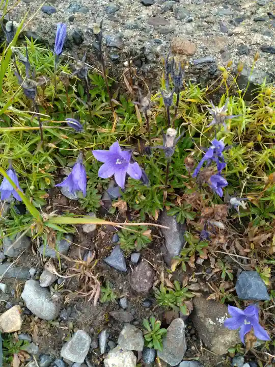 乗鞍本宮(岐阜県)