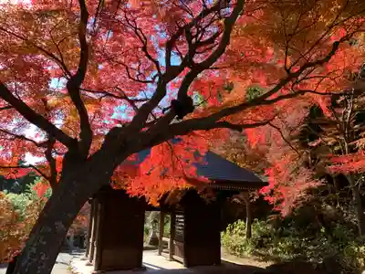 普門寺(切り絵御朱印発祥の寺)の山門・神門