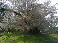 称願寺(山梨県)