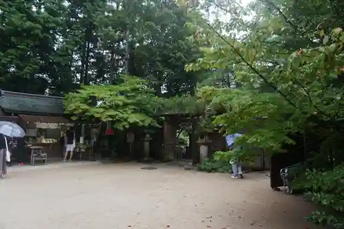 宇治上神社の景色