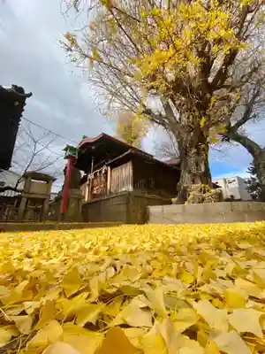 宇賀神社のその他建物