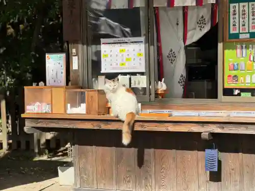 阿邪訶根神社(福島県)