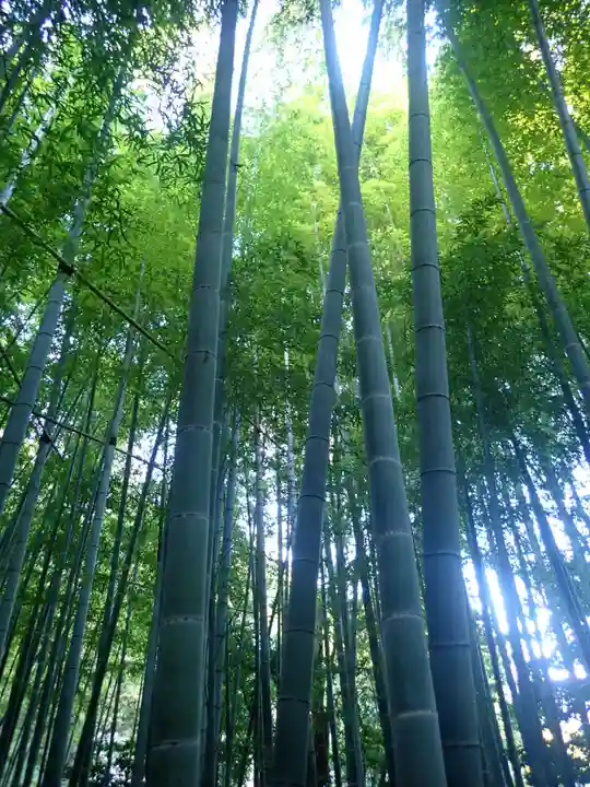 杉本寺(神奈川県)