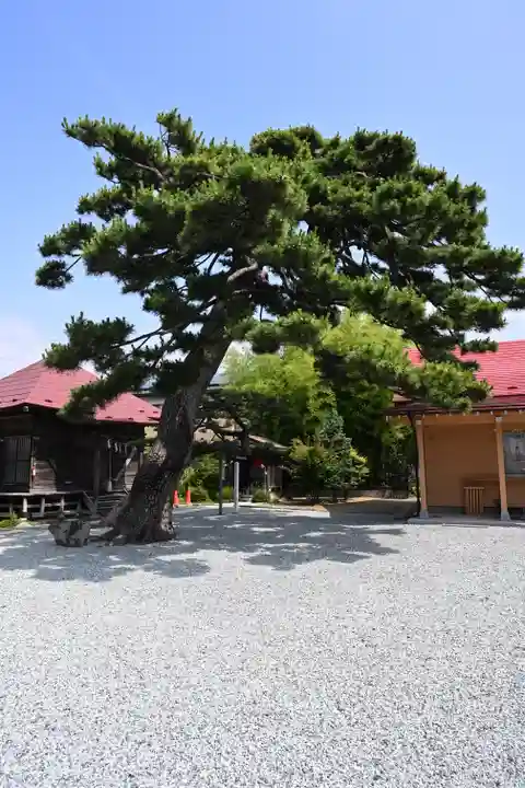 七郷神社(宮城県)