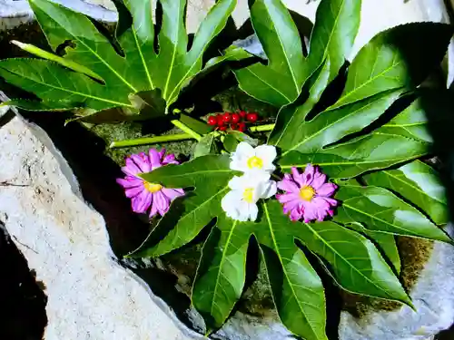 玉泉寺(群馬県)