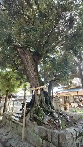 豊川進雄神社(愛知県)