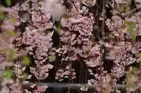 豊景神社の庭園