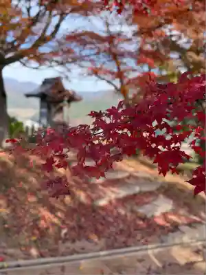 金刀比羅神社(岡山県)