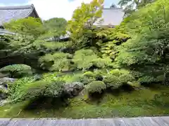 禅林寺（永観堂）(京都府)