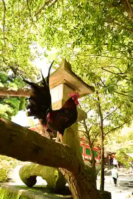 石上神宮(奈良県)