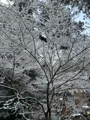 鞍馬寺(京都府)