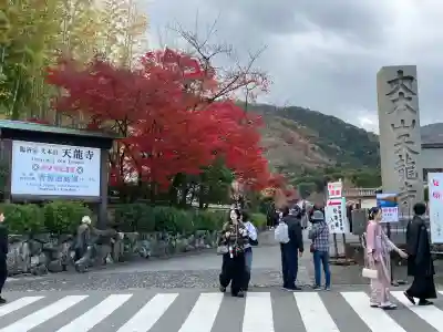 天龍寺(京都府)