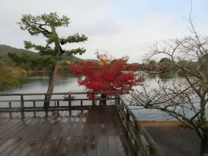 大覚寺(京都府)