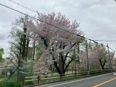 櫻宮の{uncategorized: "未分類", other: "その他", undefined: "問題あり", building: "その他建物", grave: "お墓", sacred_gate: "鳥居", guardian: "狛犬", statue: "像", buddha: "仏像", history: "歴史", nature: "自然", garden: "庭園", animal: "動物", pagoda: "塔", temizu: "手水舎", mountain_gate: "山門・神門", sanctuary: "本殿・本堂", subordinate: "末社・摂社", art: "芸術", scenery: "景色", jizo: "地蔵", ema: "絵馬", goshuin: "御朱印", omikuji: "おみくじ", items: "授与品その他", amulet: "お守り", goshuincho: "御朱印帳", eats: "食事", festival: "お祭り", votive_dance: "神楽", shichigosan: "七五三参", wedding: "結婚式", experience: "体験その他", initially: "初詣", around: "周辺", anti_infection: "感染症対策"}