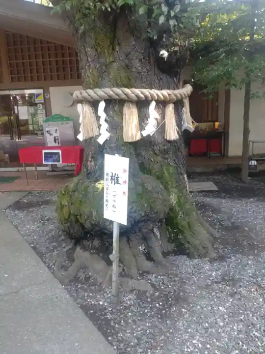 座間神社(神奈川県)