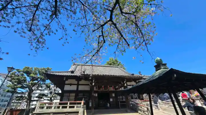 新井薬師(梅照院)の{uncategorized: "未分類", other: "その他", undefined: "問題あり", building: "その他建物", grave: "お墓", sacred_gate: "鳥居", guardian: "狛犬", statue: "像", buddha: "仏像", history: "歴史", nature: "自然", garden: "庭園", animal: "動物", pagoda: "塔", temizu: "手水舎", mountain_gate: "山門・神門", sanctuary: "本殿・本堂", subordinate: "末社・摂社", art: "芸術", scenery: "景色", jizo: "地蔵", ema: "絵馬", goshuin: "御朱印", omikuji: "おみくじ", items: "授与品その他", amulet: "お守り", goshuincho: "御朱印帳", eats: "食事", festival: "お祭り", votive_dance: "神楽", shichigosan: "七五三参", wedding: "結婚式", experience: "体験その他", initially: "初詣", around: "周辺", anti_infection: "感染症対策"}
