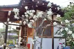 西園寺の本殿