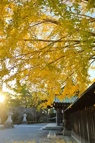 三嶋大社(静岡県)