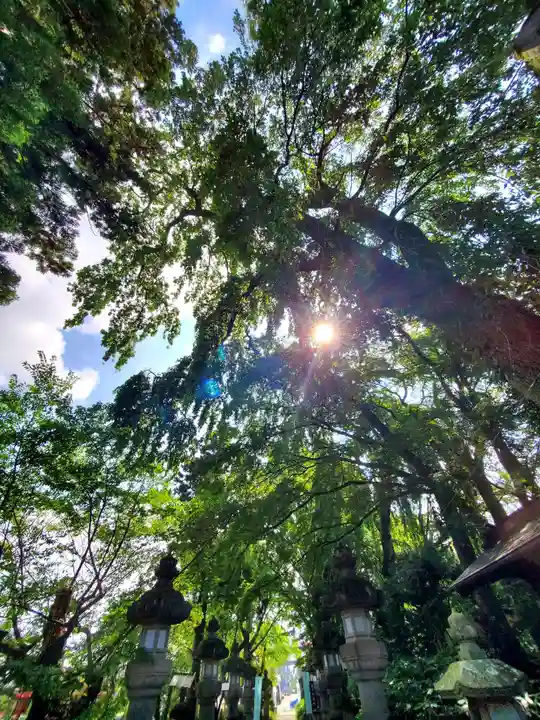 神炊館神社 ⁂奥州須賀川総鎮守⁂(福島県)