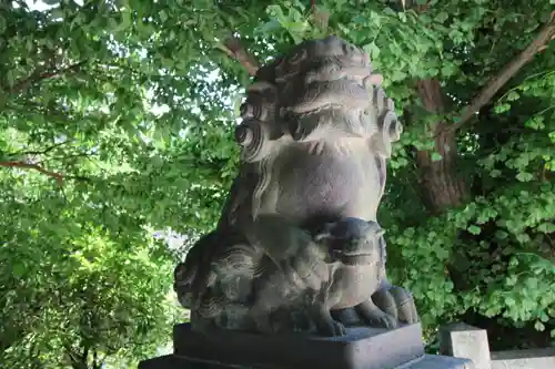 桐ヶ谷氷川神社の狛犬