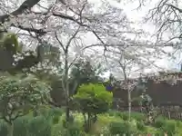 阿智神社の自然