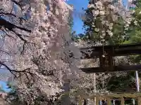 山家神社の{uncategorized: "未分類", other: "その他", undefined: "問題あり", building: "その他建物", grave: "お墓", sacred_gate: "鳥居", guardian: "狛犬", statue: "像", buddha: "仏像", history: "歴史", nature: "自然", garden: "庭園", animal: "動物", pagoda: "塔", temizu: "手水舎", mountain_gate: "山門・神門", sanctuary: "本殿・本堂", subordinate: "末社・摂社", art: "芸術", scenery: "景色", jizo: "地蔵", ema: "絵馬", goshuin: "御朱印", omikuji: "おみくじ", items: "授与品その他", amulet: "お守り", goshuincho: "御朱印帳", eats: "食事", festival: "お祭り", votive_dance: "神楽", shichigosan: "七五三参", wedding: "結婚式", experience: "体験その他", initially: "初詣", around: "周辺", anti_infection: "感染症対策"}