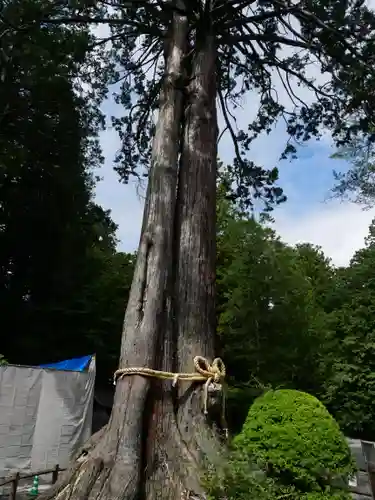 北口本宮冨士浅間神社のその他建物