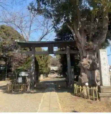 畑子安神社(千葉県)