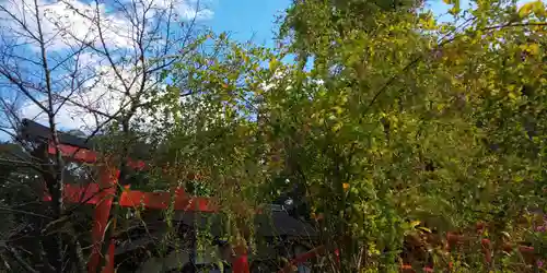 賀茂御祖神社（下鴨神社）の鳥居