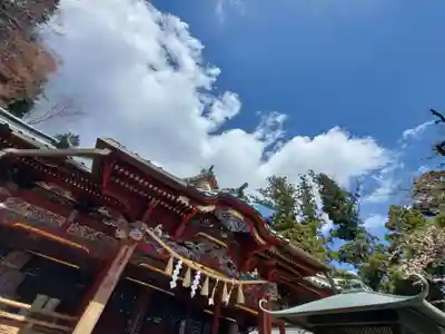 高尾山薬王院の本殿・本堂