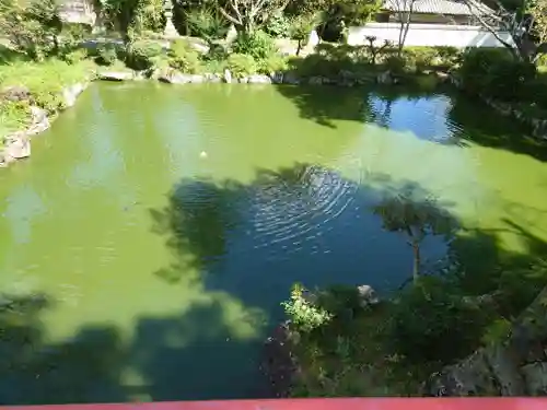 伊太祁曽神社の庭園
