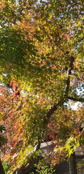 香取神社の自然