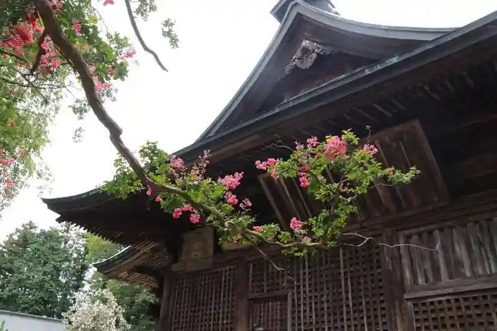 田村神社の本殿・本堂