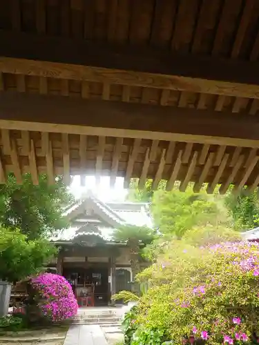 安養院　(田代寺）の庭園