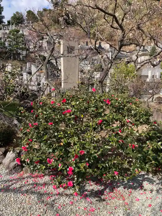 妙法寺(神奈川県)