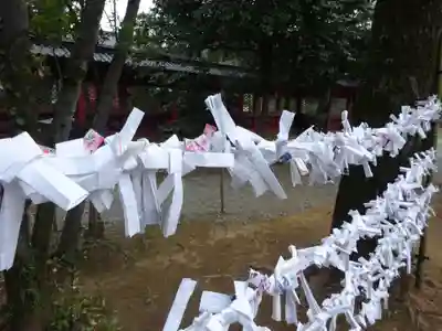 根津神社のおみくじ
