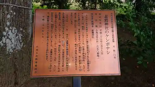 素鵞神社の歴史