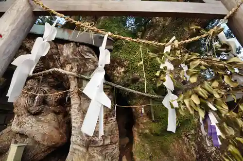 須賀神社(高知県)