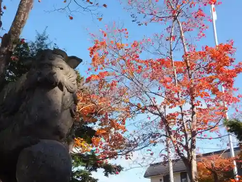 当別神社の狛犬