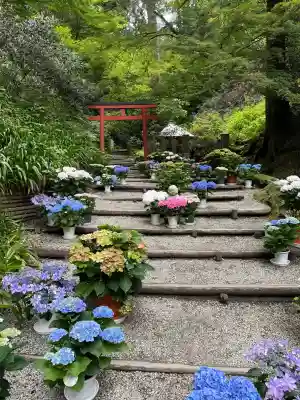 岡寺（龍蓋寺）の{uncategorized: "未分類", other: "その他", undefined: "問題あり", building: "その他建物", grave: "お墓", sacred_gate: "鳥居", guardian: "狛犬", statue: "像", buddha: "仏像", history: "歴史", nature: "自然", garden: "庭園", animal: "動物", pagoda: "塔", temizu: "手水舎", mountain_gate: "山門・神門", sanctuary: "本殿・本堂", subordinate: "末社・摂社", art: "芸術", scenery: "景色", jizo: "地蔵", ema: "絵馬", goshuin: "御朱印", omikuji: "おみくじ", items: "授与品その他", amulet: "お守り", goshuincho: "御朱印帳", eats: "食事", festival: "お祭り", votive_dance: "神楽", shichigosan: "七五三参", wedding: "結婚式", experience: "体験その他", initially: "初詣", around: "周辺", anti_infection: "感染症対策"}